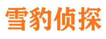 杂多市场调查